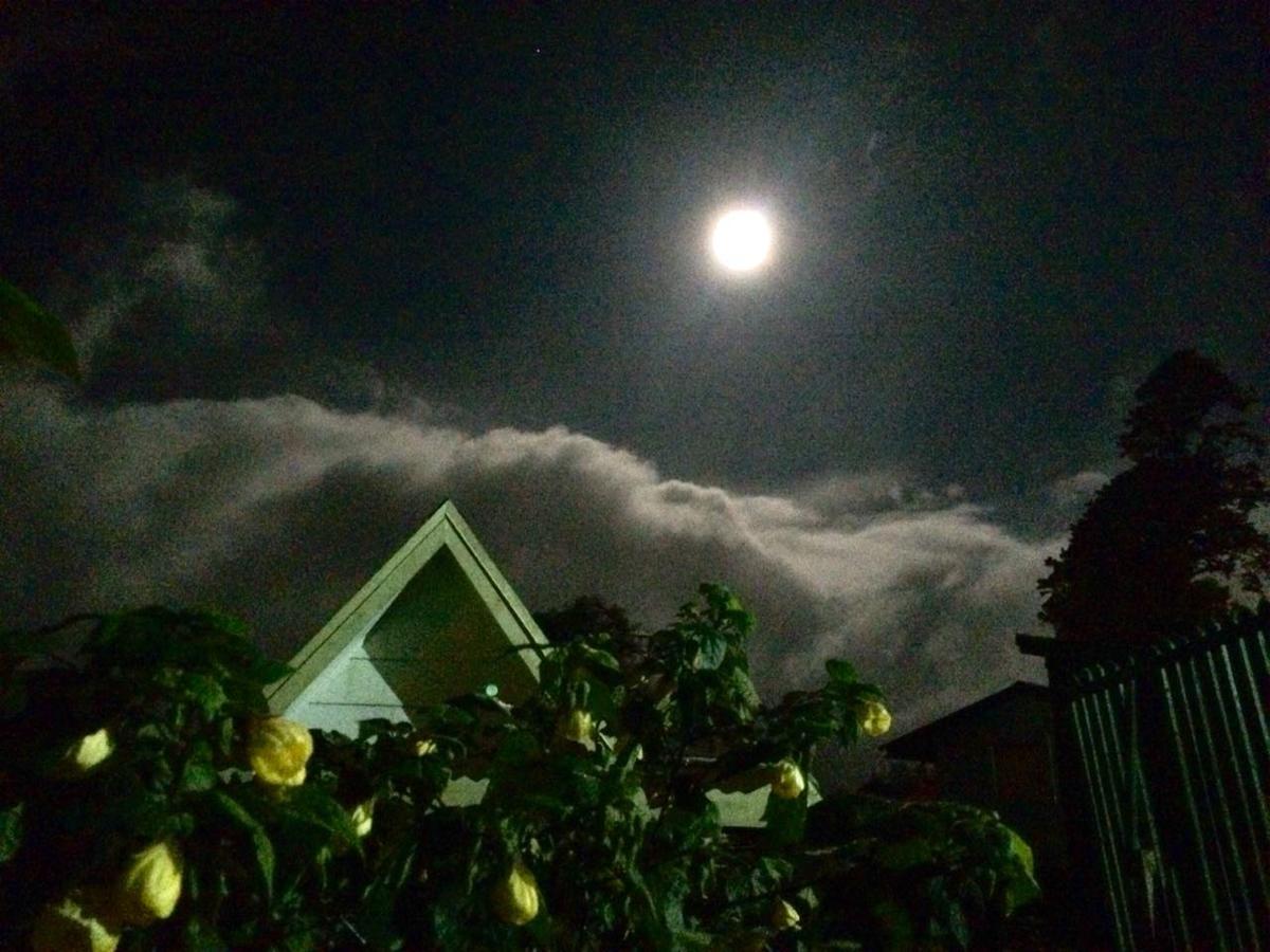 Hortensias Chalets Vara Blanca Heredia Dış mekan fotoğraf