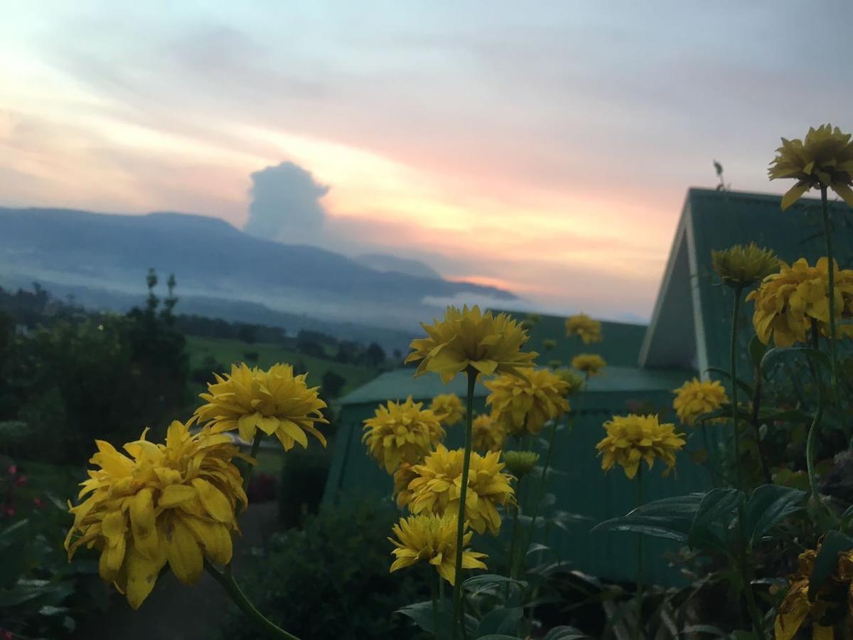 Hortensias Chalets Vara Blanca Heredia Dış mekan fotoğraf